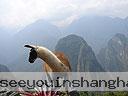 Machu-Picchu-009